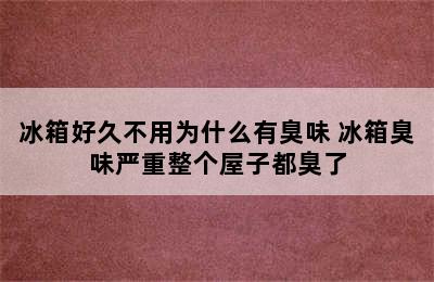 冰箱好久不用为什么有臭味 冰箱臭味严重整个屋子都臭了